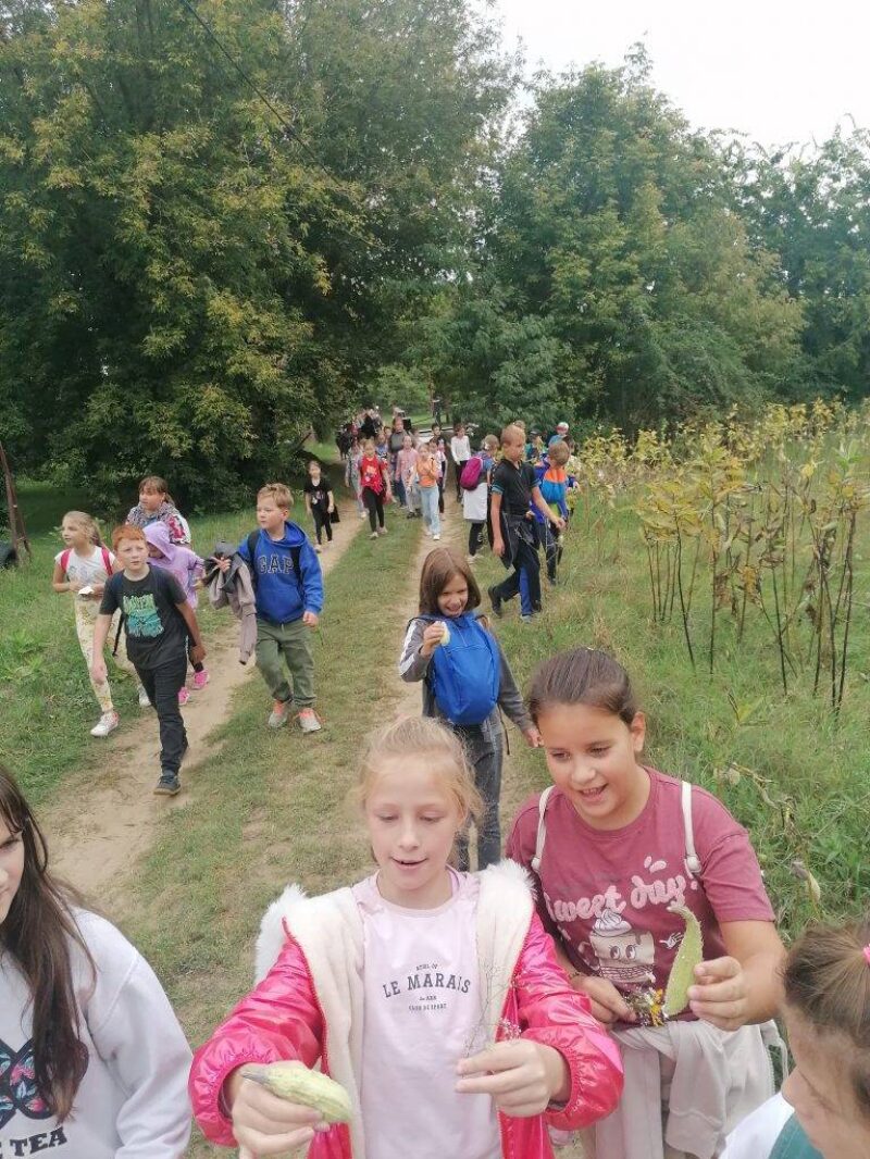 Csak természetesen