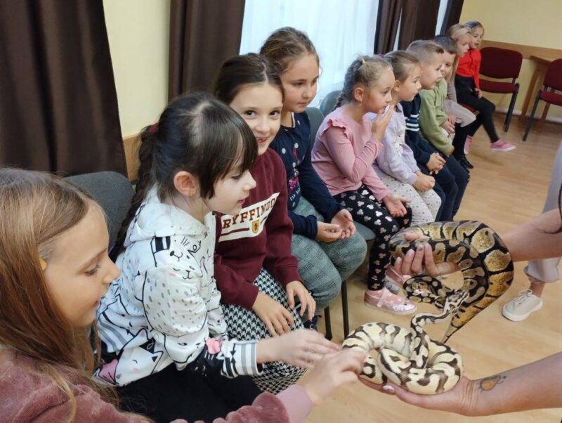 Kiskedvencek örömei Kiskedvencek örömei