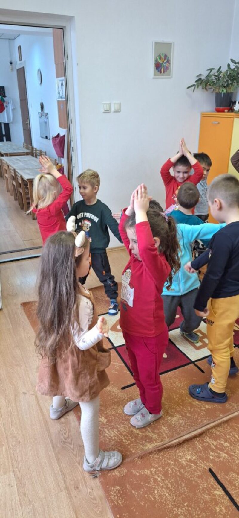 Karácsonyi csillagok és öreg fenyők Karácsonyi csillagok és öreg fenyők