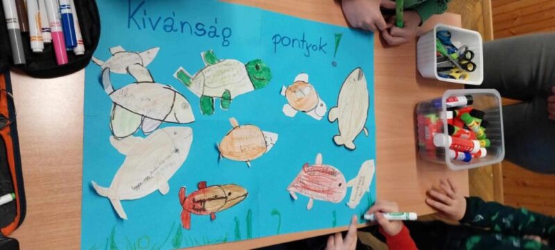 Kívánság ponty Kívánság ponty