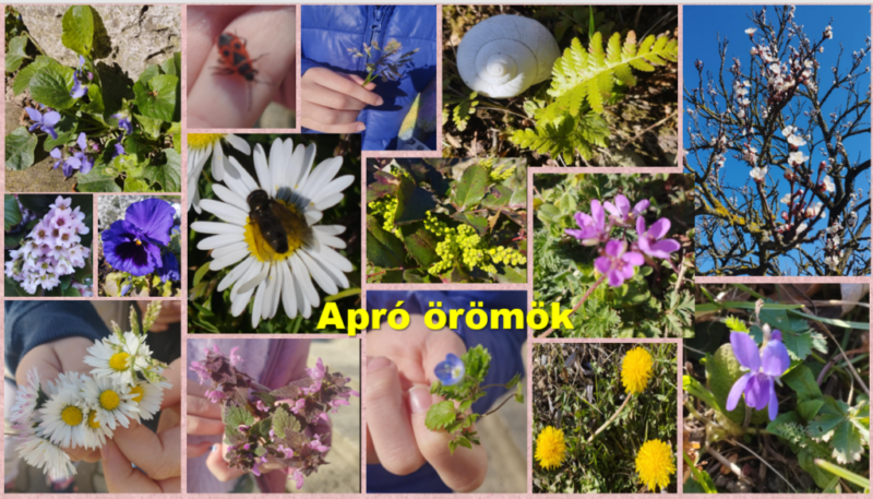 1.-Oromeink.png 1.-Oromeink.png