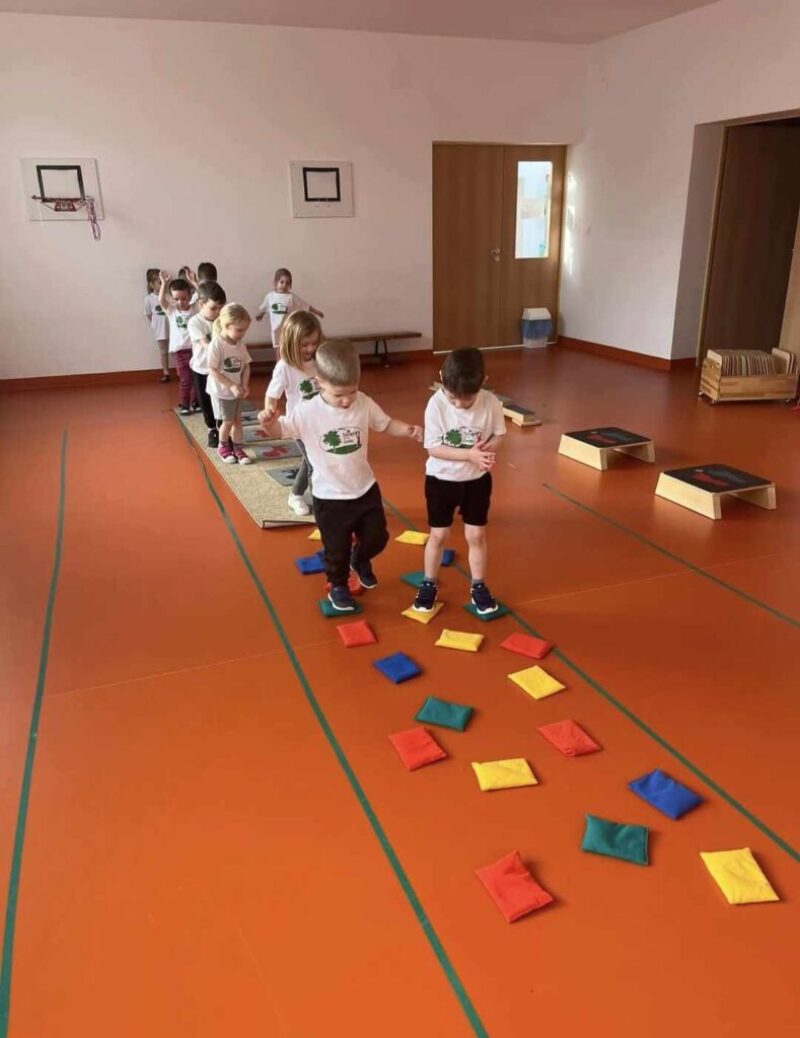 Mozgaskotta-1.jpg Mozgaskotta-1.jpg