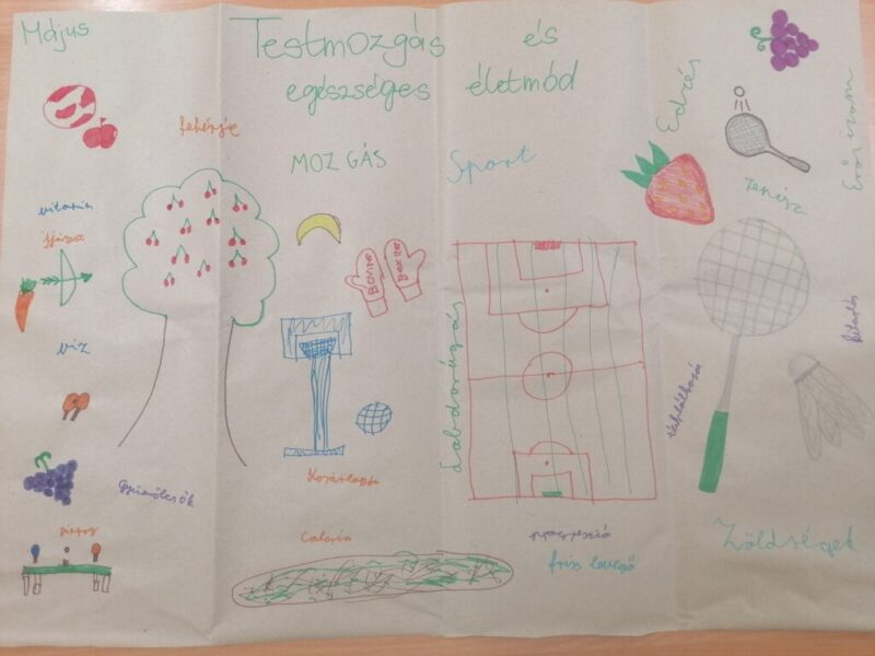 Testmozgás és egészséges életmód Testmozgás és egészséges életmód