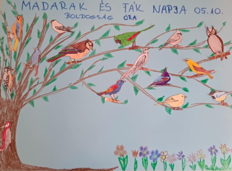 Madarak-es-fak-napja-1.jpg