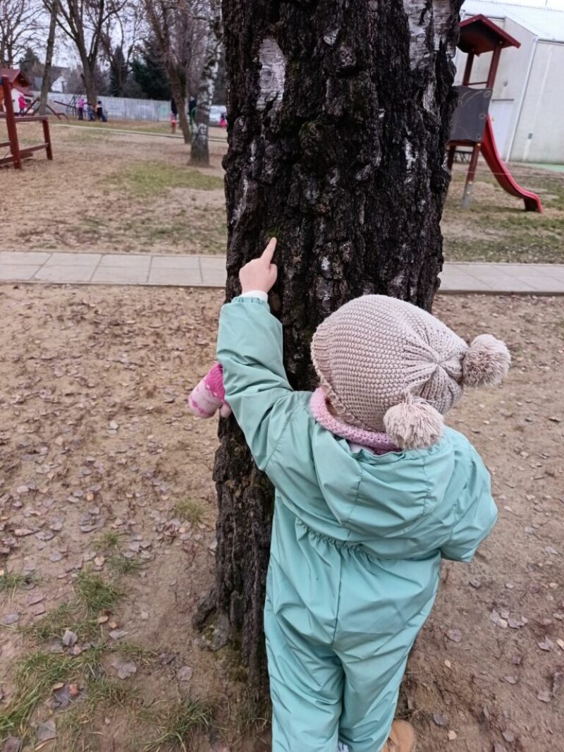 Hol vagy kismadár? Hol vagy kismadár?