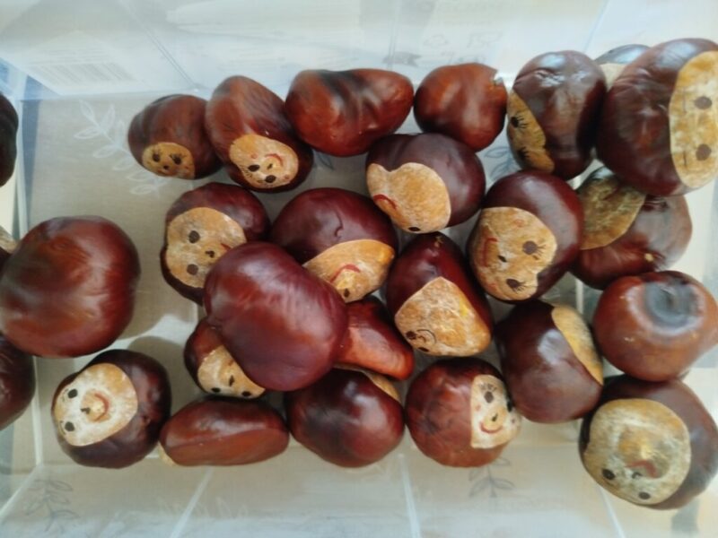 A varázsszemüveg A varázsszemüveg