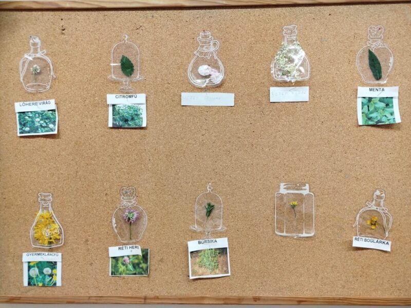 A természetben… A természetben…