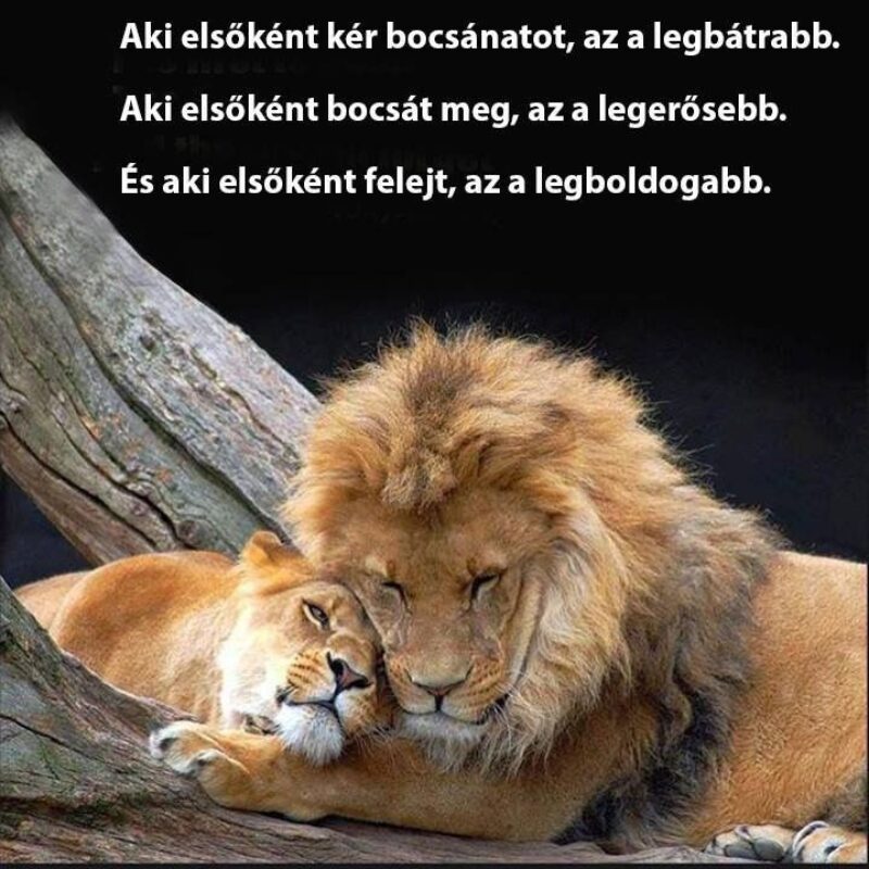 megbocsatas-fokep.jpg megbocsatas-fokep.jpg