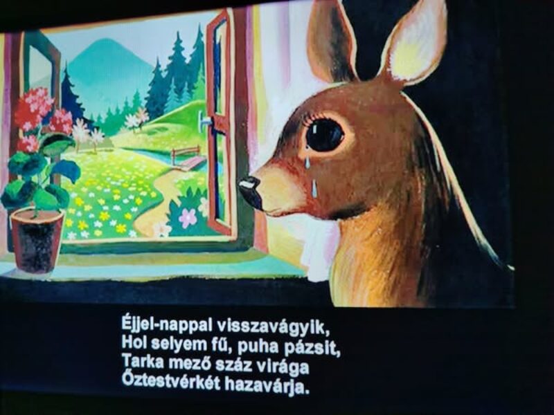 oreg-nene.jpg oreg-nene.jpg