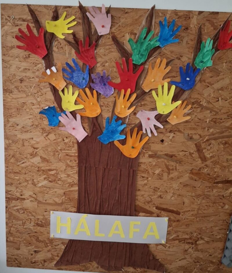 66c1fa4e-cf2b-4775-ad16-2f5e473f50b6.jpg 66c1fa4e-cf2b-4775-ad16-2f5e473f50b6.jpg