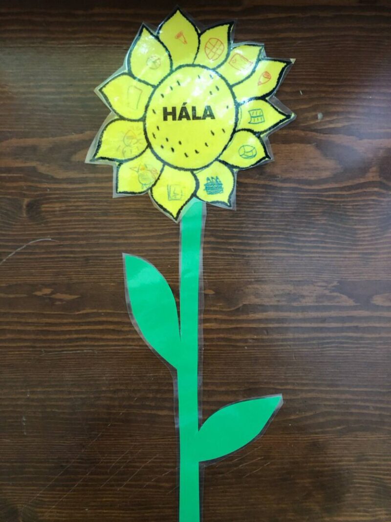 hala_virag-1.jpg hala_virag-1.jpg