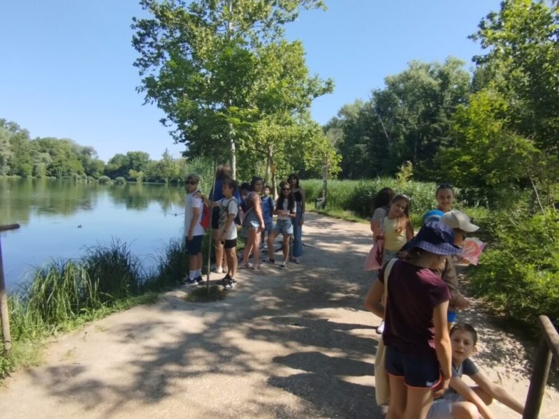 megkuzdesi-strategiak.jpg megkuzdesi-strategiak.jpg