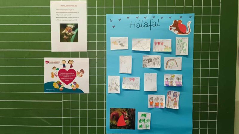 1000004781.jpg 1000004781.jpg