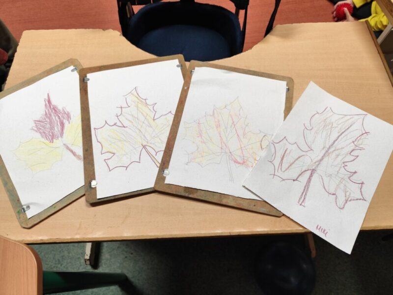 Borsod-Abaúj-Zemplén Vármegyei Óvoda, Általános Iskola, Készségfejlesztő Iskola, Fejlesztő Nevelést- Oktatást Végző Iskola,Kollégium és Egységes Gyógypedagógiai Módszertani Intézmény Sályi Mozgásjavító Tagintézménye Borsod-Abaúj-Zemplén Vármegyei Óvoda, Általános Iskola, Készségfejlesztő Iskola, Fejlesztő Nevelést- Oktatást Végző Iskola,Kollégium és Egységes Gyógypedagógiai Módszertani Intézmény Sályi Mozgásjavító Tagintézménye