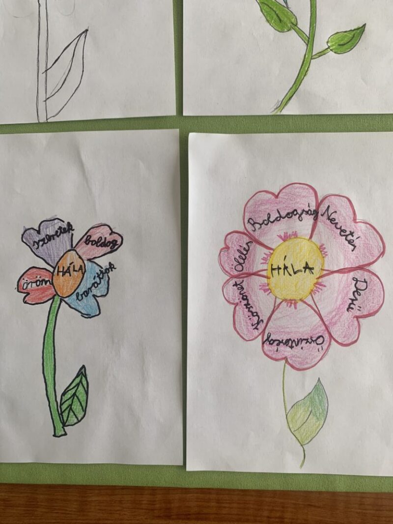 Hálavirág Hálavirág