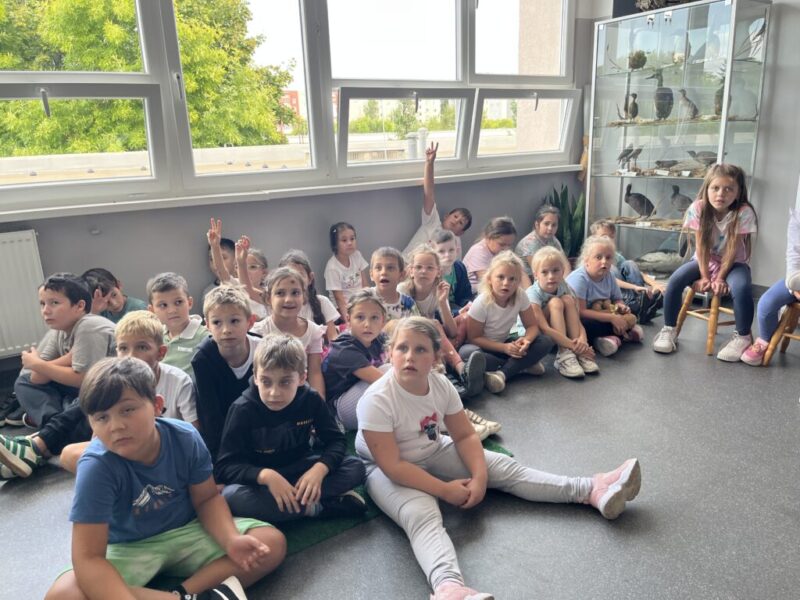 Hálás pandák Hálás pandák