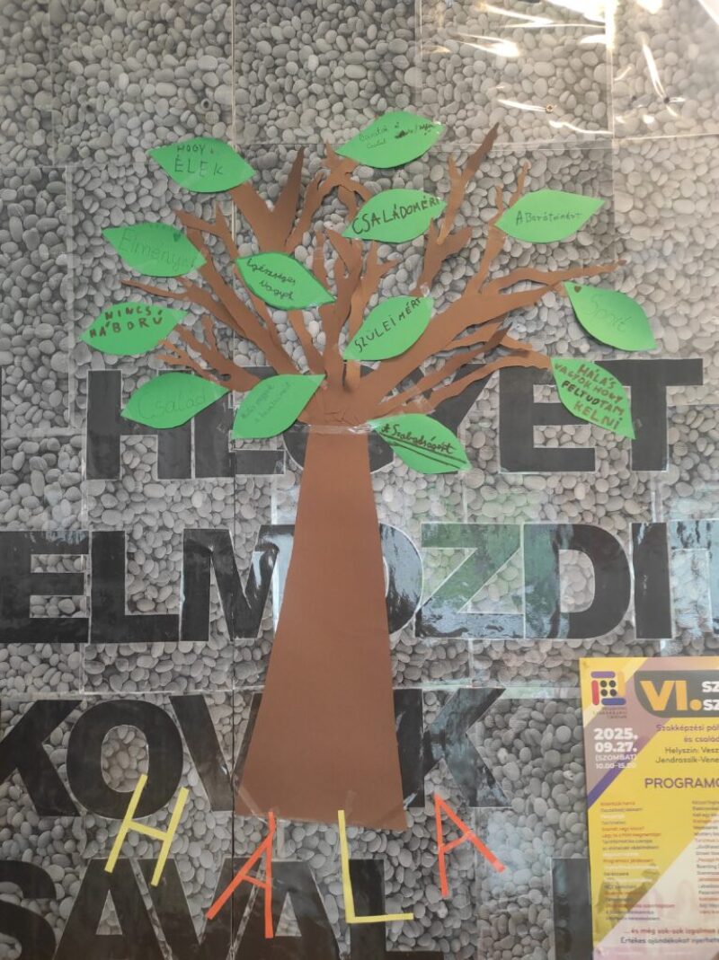 8 Osztály Hála-fa 8 Osztály Hála-fa