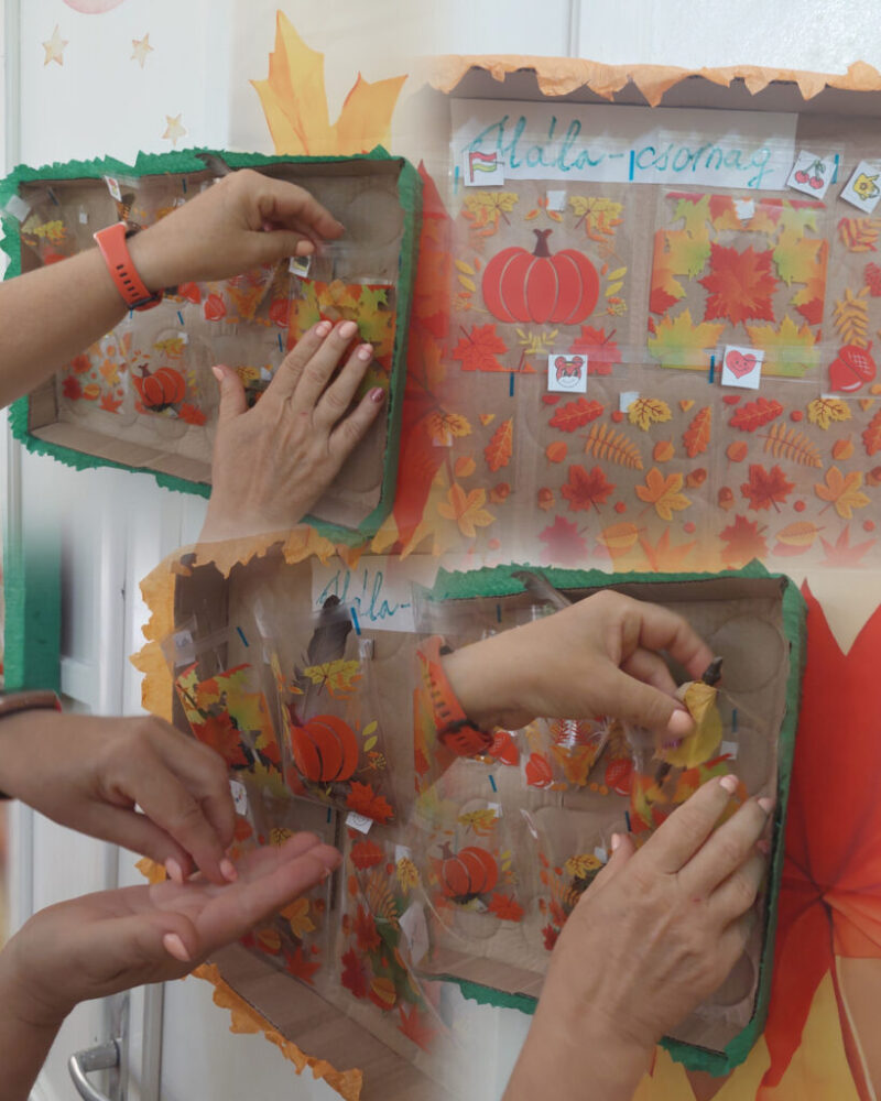 InShot_20250923_091958857.jpg InShot_20250923_091958857.jpg