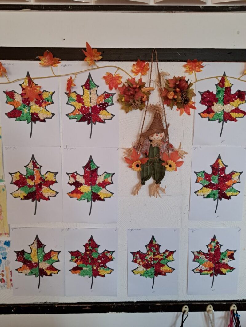 Optimista osztály vagyunk Optimista osztály vagyunk