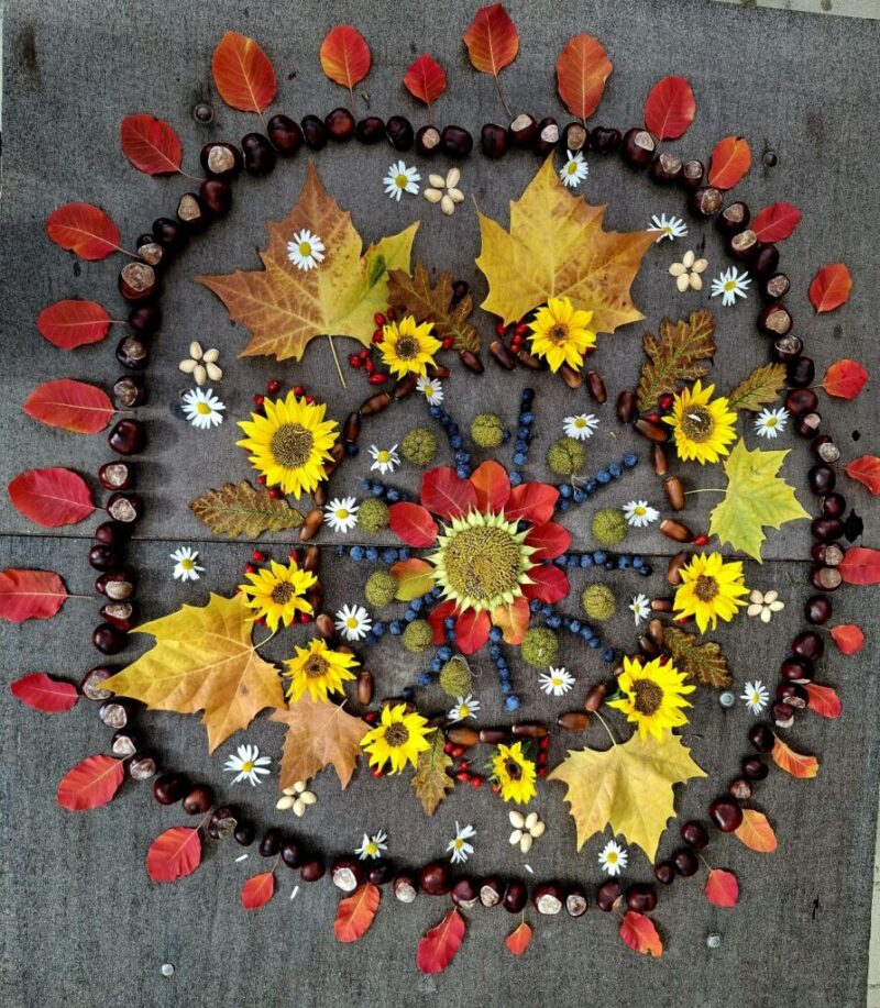 1000015931.jpg 1000015931.jpg