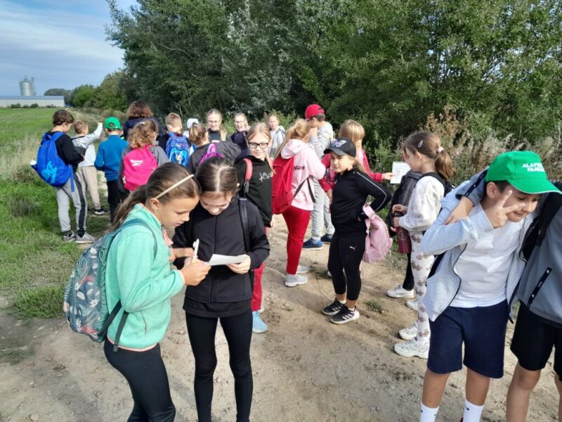 Hálanapok Hálanapok