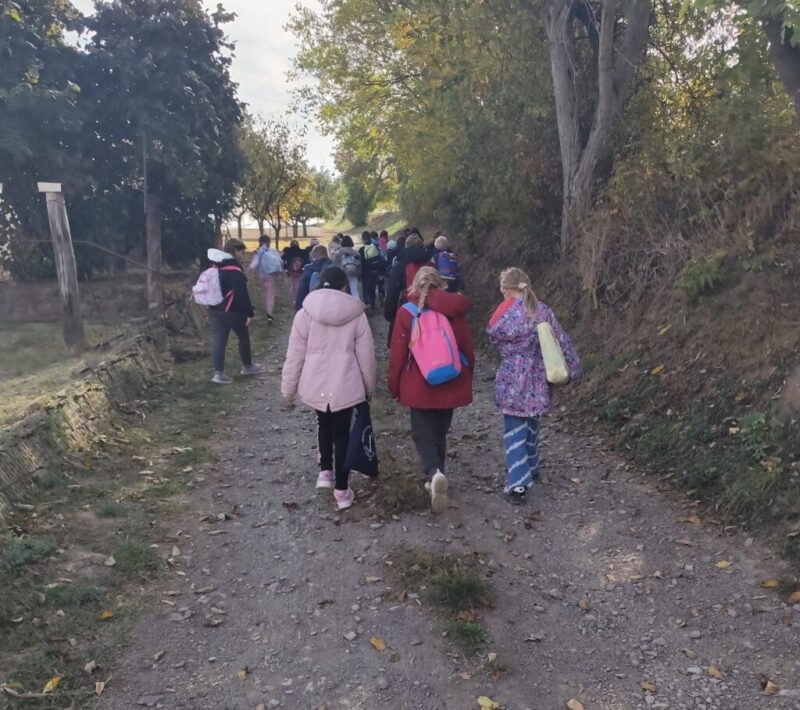 Optimizmus gyakorlása Optimizmus gyakorlása