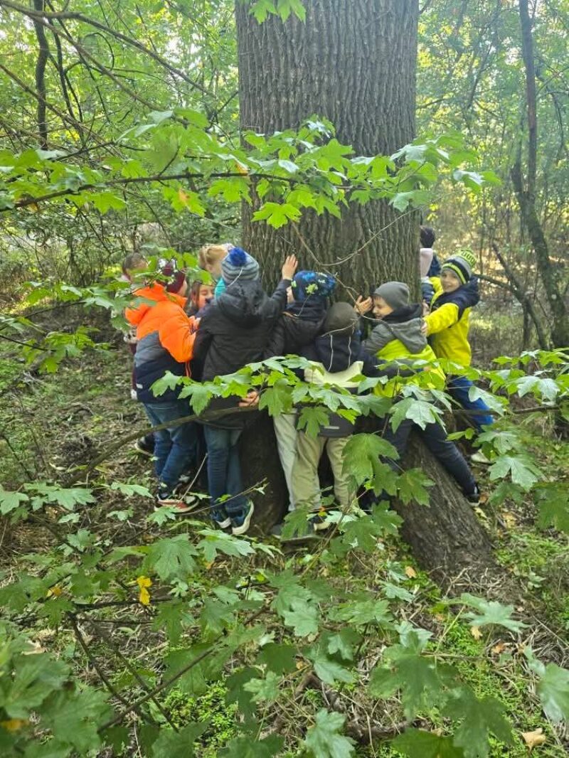 1000049899.jpg 1000049899.jpg