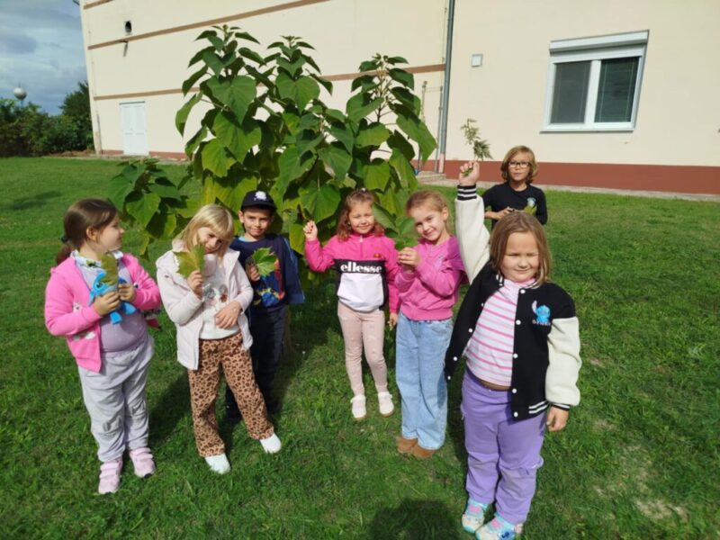 32e287d0-2ce2-422a-a3ee-6f9a6c70e838.jpg 32e287d0-2ce2-422a-a3ee-6f9a6c70e838.jpg