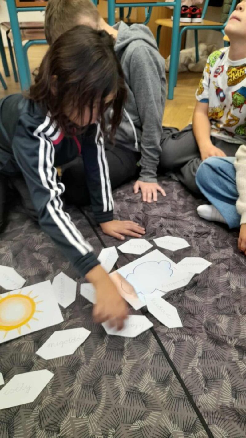 3ea59625-6383-426f-8766-c00ded04b0c8.jpg 3ea59625-6383-426f-8766-c00ded04b0c8.jpg