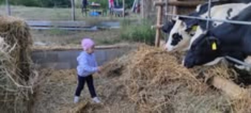 514339008_787355984149085_3888677758788720141_n.jpg 514339008_787355984149085_3888677758788720141_n.jpg