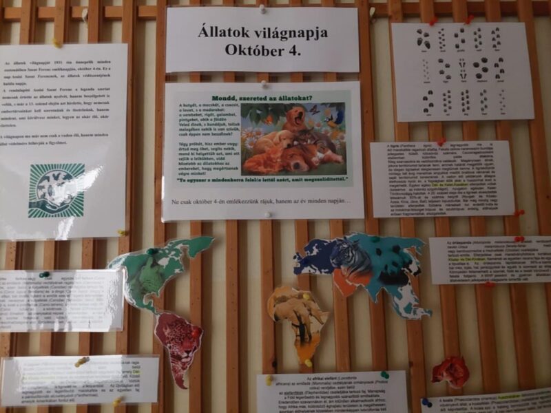 Allatok.jpg Allatok.jpg