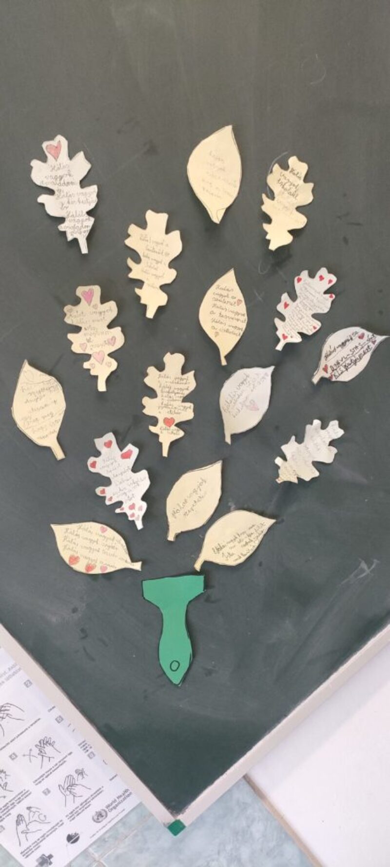 Fesd hàlásra az életed Fesd hàlásra az életed