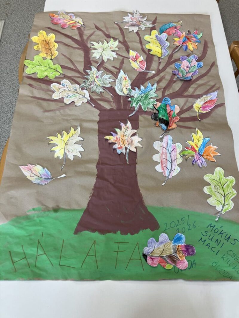 Csoportos Hálafa készítése Csoportos Hálafa készítése