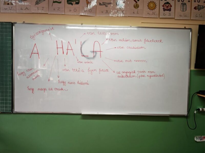 IMG_20250918_125538-Large.jpg IMG_20250918_125538-Large.jpg