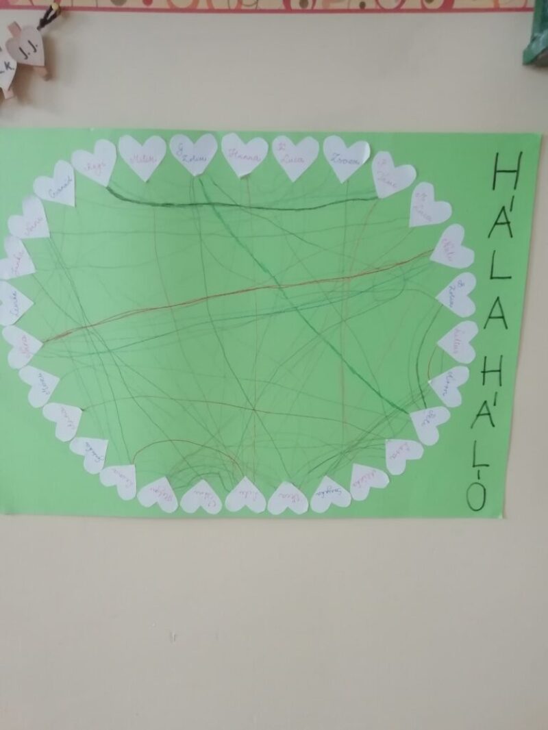 Hálaháló, hálafa és hálakupon Hálaháló, hálafa és hálakupon