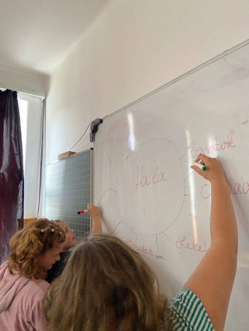 Mit jelent nekem a hála? Mit jelent nekem a hála?