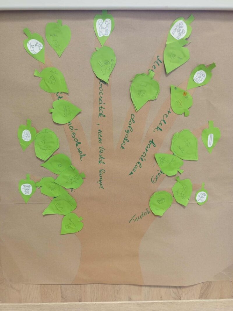 Optimista fa Optimista fa