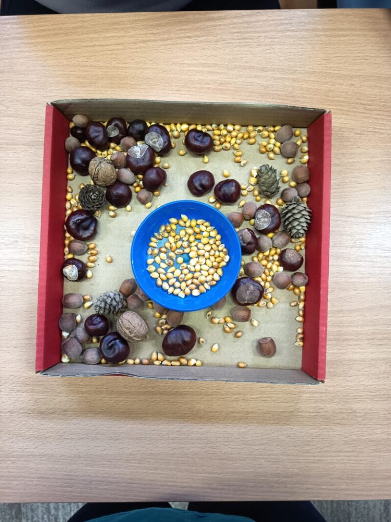 Optimista hozzáállás Optimista hozzáállás