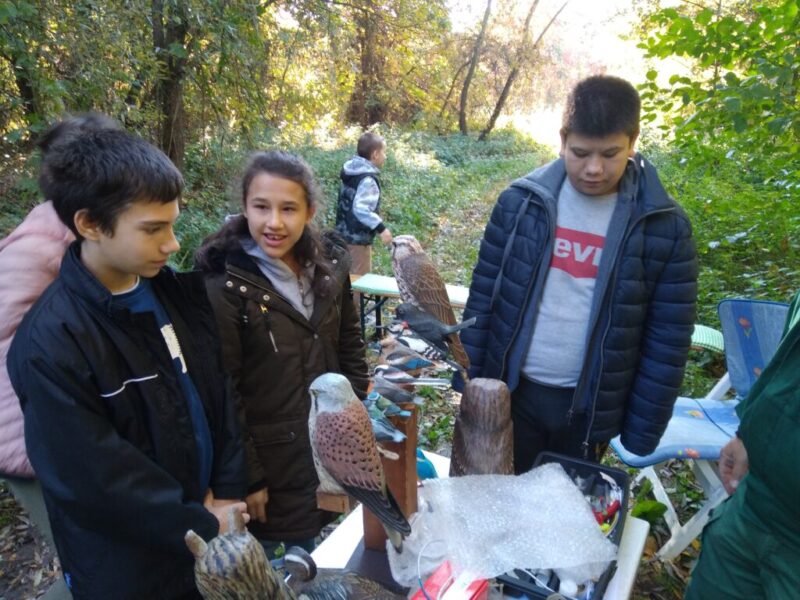 Állatvédelmi Világnap Állatvédelmi Világnap