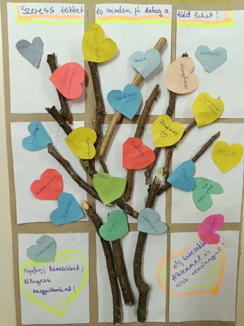 optimista-fa.jpg optimista-fa.jpg