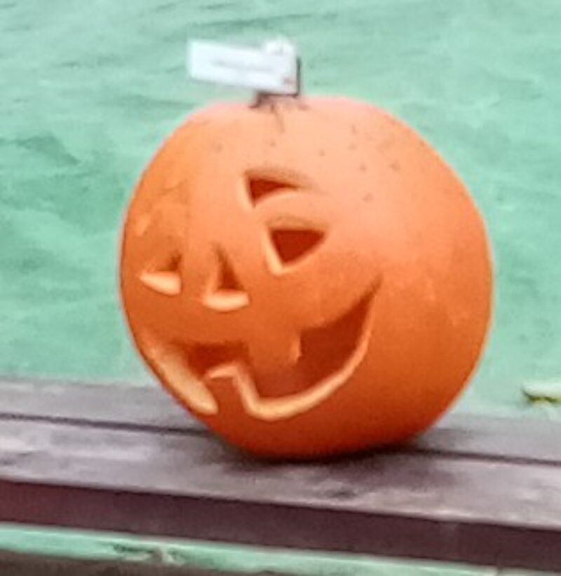 oszi-vasar-tokfej.jpg oszi-vasar-tokfej.jpg