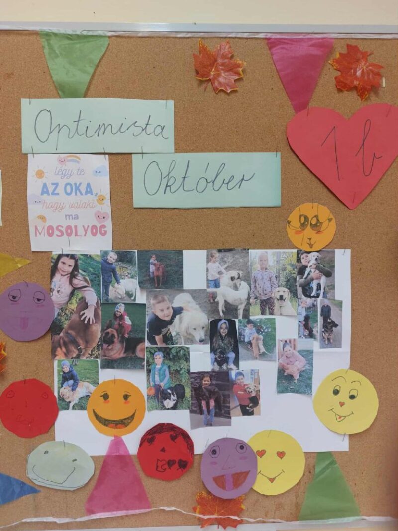 wuTfKvnP.jpg wuTfKvnP.jpg