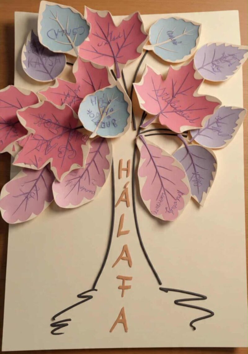 1763403602042.jpg 1763403602042.jpg