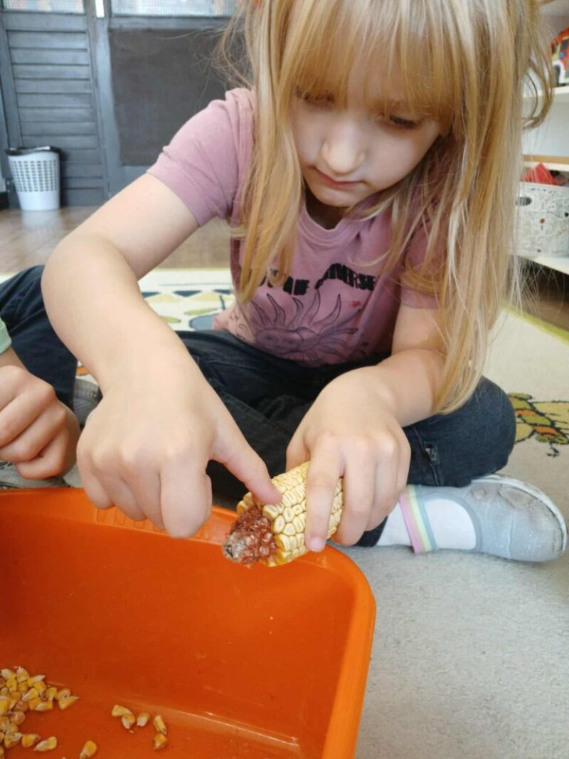 564384464_743335998759422_8402948969730889421_n.jpg 564384464_743335998759422_8402948969730889421_n.jpg