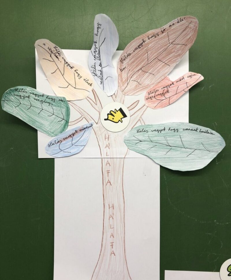 575639493_25617216741205757_8561410214250422745_n-1.jpg 575639493_25617216741205757_8561410214250422745_n-1.jpg