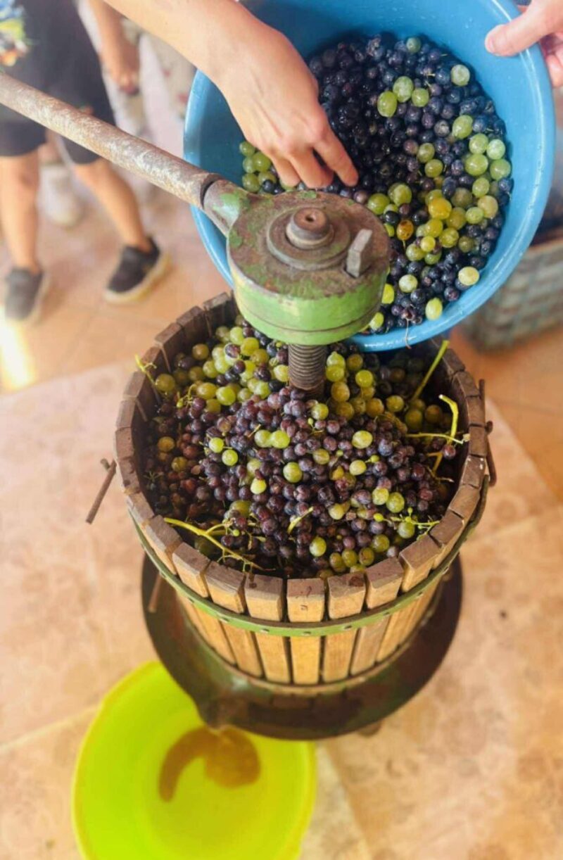 8be44ad72fc5f0dc8cde01664b6b96df.jpeg 8be44ad72fc5f0dc8cde01664b6b96df.jpeg