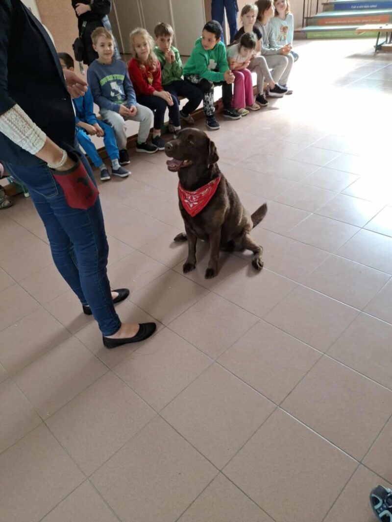 Allatok-vilagnapja.jpg Allatok-vilagnapja.jpg