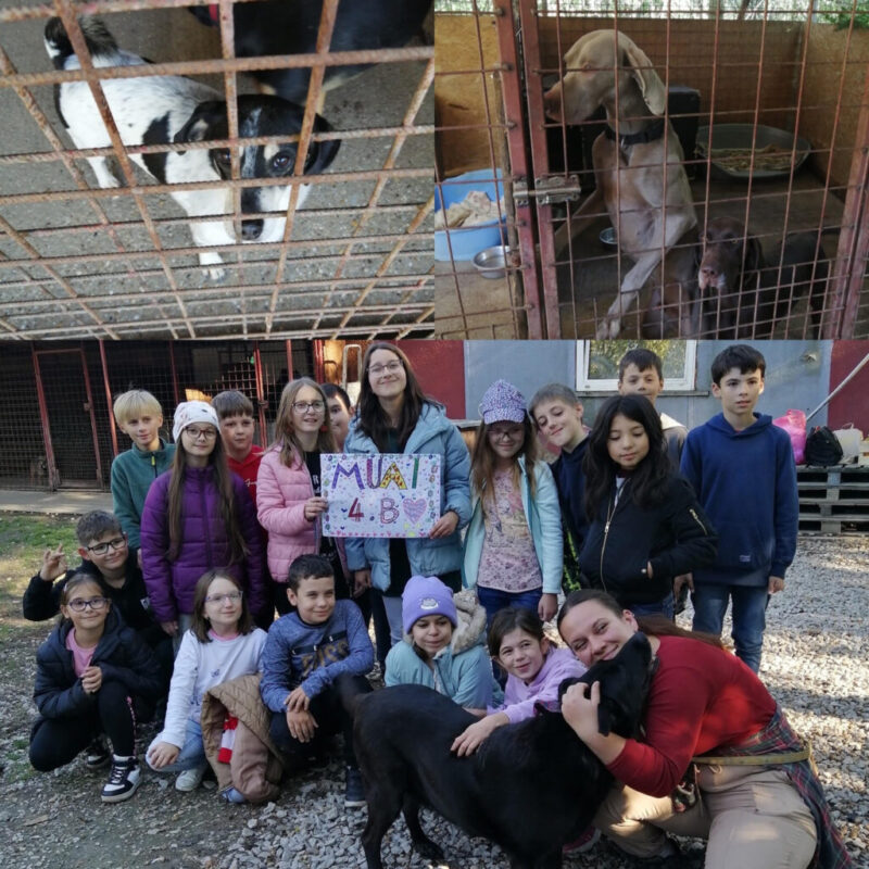 Apro-oromok.jpg Apro-oromok.jpg