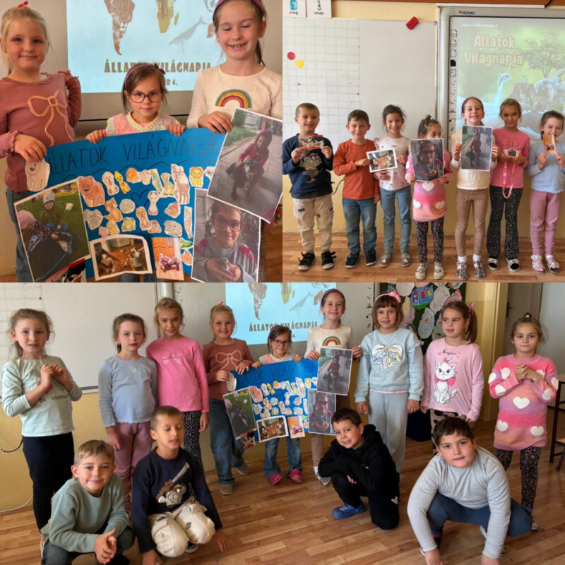 Az-optimizmus-okt.jpg Az-optimizmus-okt.jpg