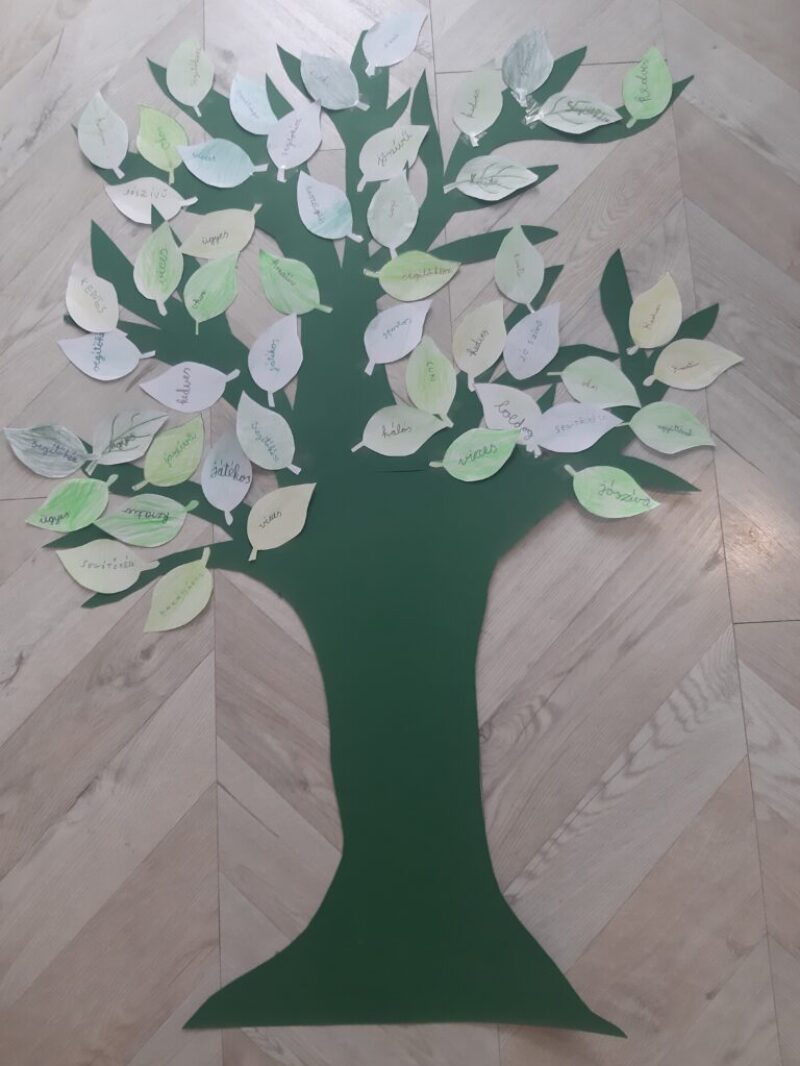 Erősségeink a közösségben Erősségeink a közösségben